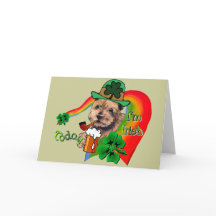 St. Patricks Norfolk-Terrier