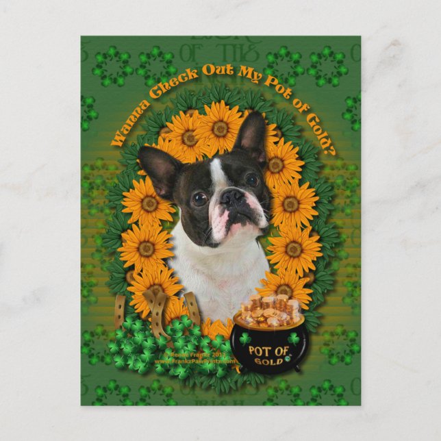 St Patricks - Pot of Gold - Boston Terrier Postkarte (Vorderseite)