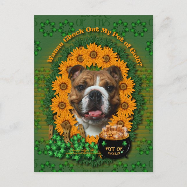 St Patricks - Pot of Gold - Bulldog Postkarte (Vorderseite)