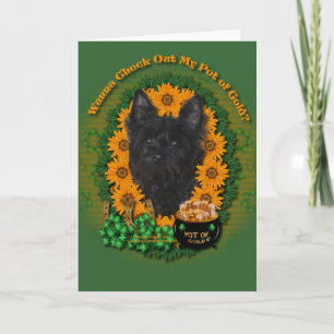 St Patricks - Pot of Gold - Cairn Terrier - Rosco Karte
