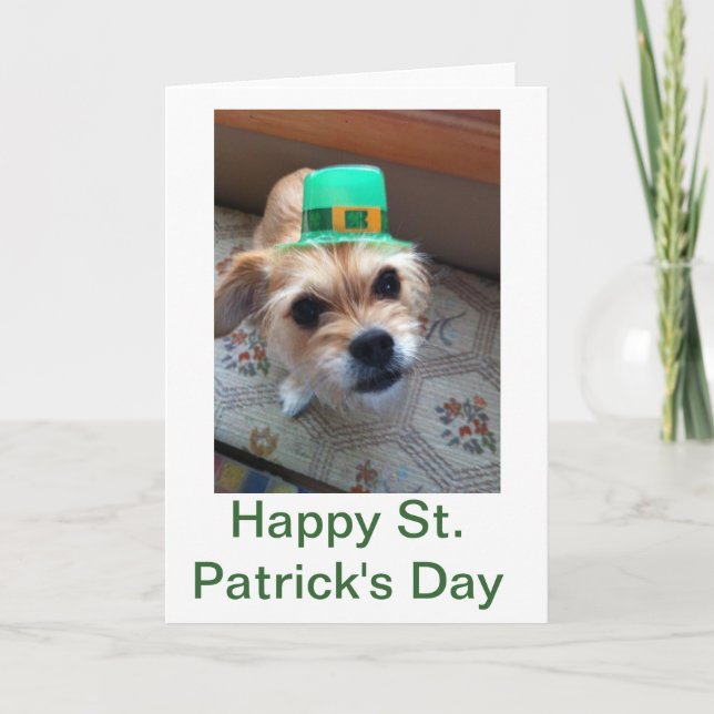 St. Patrick's Puppy Karte (Vorderseite)