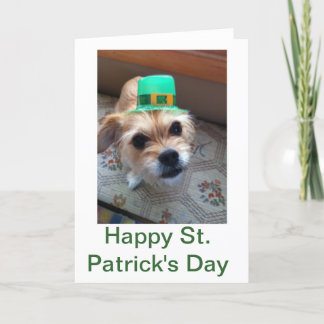 St. Patrick's Puppy Karte