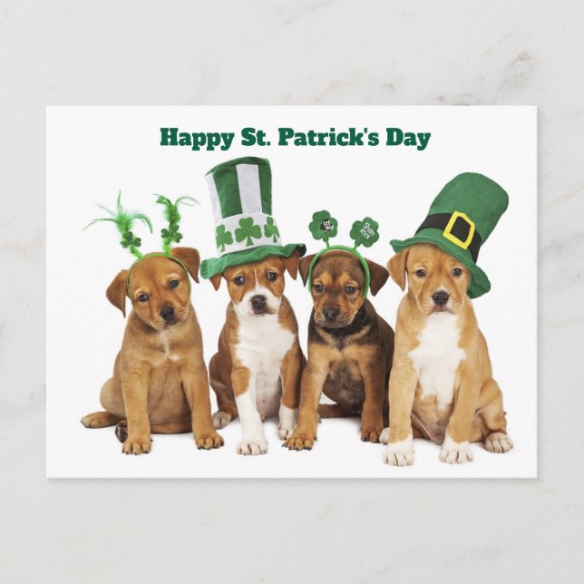 St. Patricks Tag Feiertagspostkarte (Vorderseite)