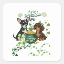 St. Patricks Tag "Pfote des Goldes "  