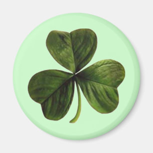 St. Patrick's Three Leaf Clover Magnet