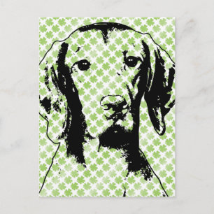 St Patricks - Vizsla Silhouette - Reagan Postkarte
