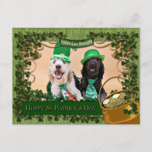 St Pats Day - Golden Doodles - Sadie und Izzie Postkarte