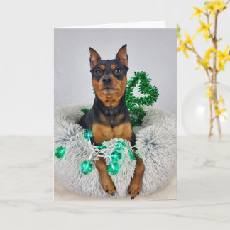 St Pats MinPin Karte