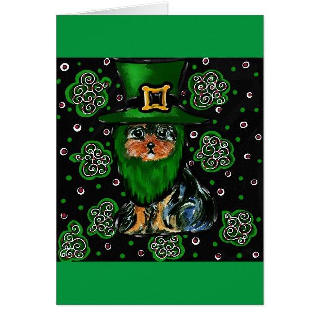 St. Patty Yorkie Poo (Vorne)