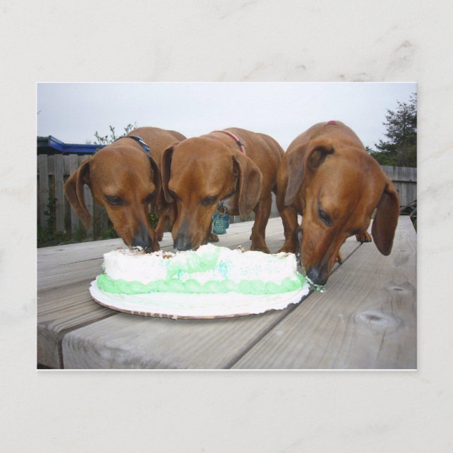 St Pattys Day Postkarte (Vorderseite)