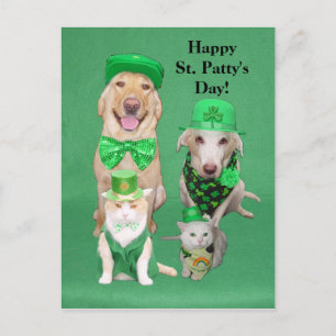St. Patty's Day Postkarte