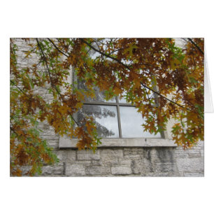 St Paul Herbst-Eiche