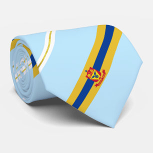 St. Paul (Minnesota) Stadtflagge Neck Tie Krawatte