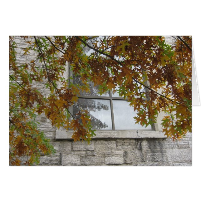 St. Paul's Autumn Oak (Vorderseite (Horizontal))