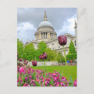 St.Paul's Cathedral London UK Postcard Postkarte