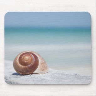 St. Petersburg des Seashell- , Florida Mousepad