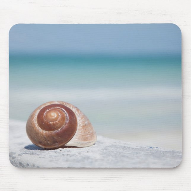 St. Petersburg des Seashell-|, Florida Mousepad (Vorne)