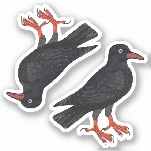 St. Piran's Day / St. Thomas Becket Choughs (fR) - Aufkleber (Vorderseite)