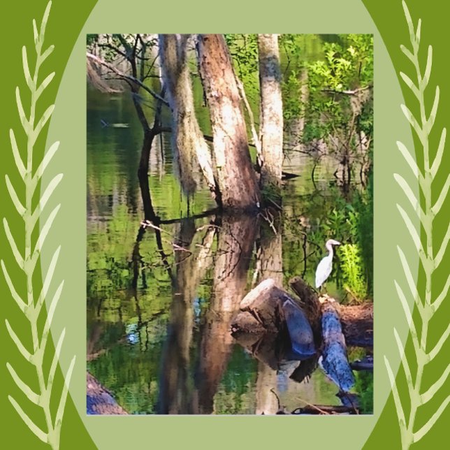 St. Simons Island, GA Lagoon und Egret Postcard Postkarte (Von Creator hochgeladen)