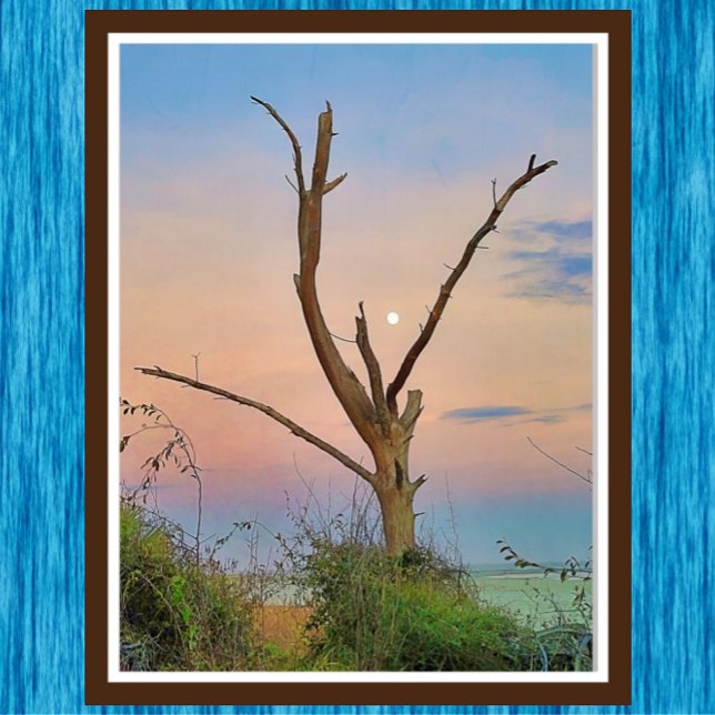 St. Simons Island Georgia Beach Sunset and Moon Poster (Von Creator hochgeladen)