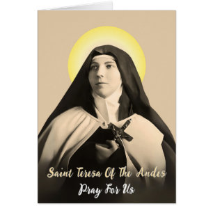 ST. TERESA DER ANDES