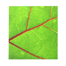 St Thomas 1 Notizblock