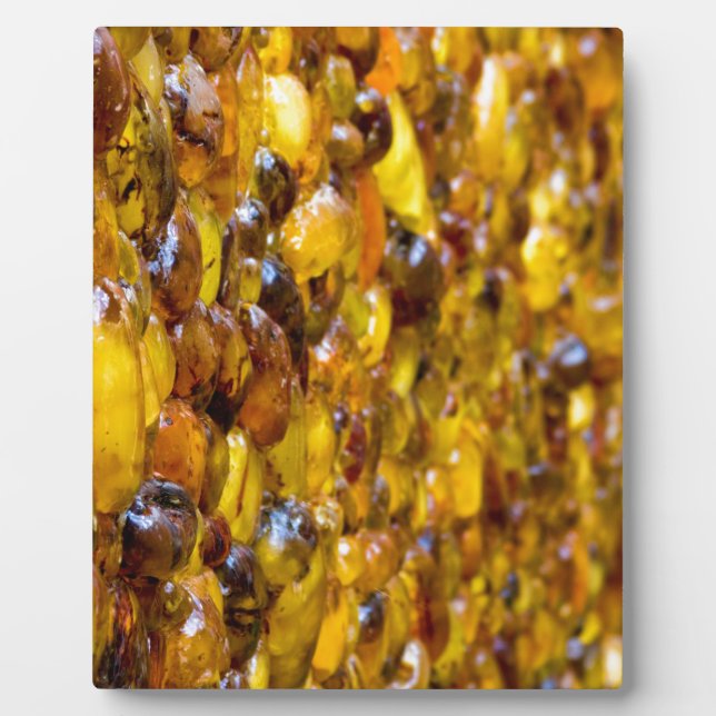 St Thomas 2 Fotoplatte (Vorderseite)