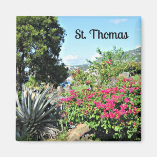 St. Thomas Magnet