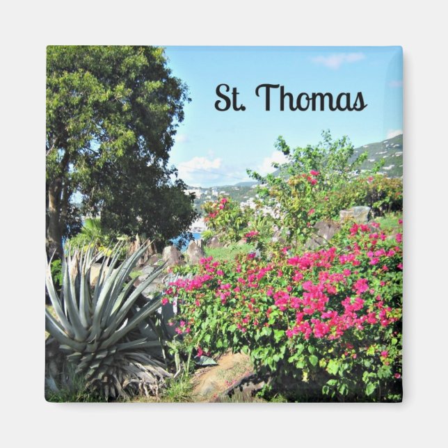 St. Thomas Magnet (Vorne)