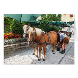 St. Wolfgang in Österreich