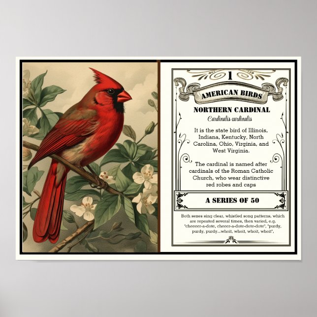 Staat Bird Collection, Kardinal, anpassbar Poster (Vorne)