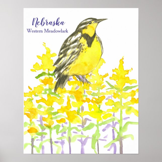 Staat Bird des Nebraska-Westerns Meadowlark Poster (Vorne)