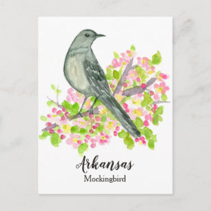 Staat Bird of Arkansas Mockingbird Apple Blossom Postkarte
