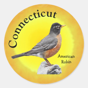 Staat Bird of Connecticut Runder Aufkleber