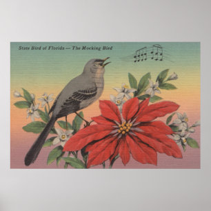Staat Bird of FloridaMocking BirdFlorida Poster