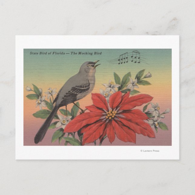 Staat Bird of FloridaMocking BirdFlorida Postkarte (Vorderseite)