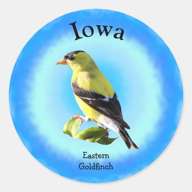Staat Bird of Iowa Runder Aufkleber (Vorderseite)
