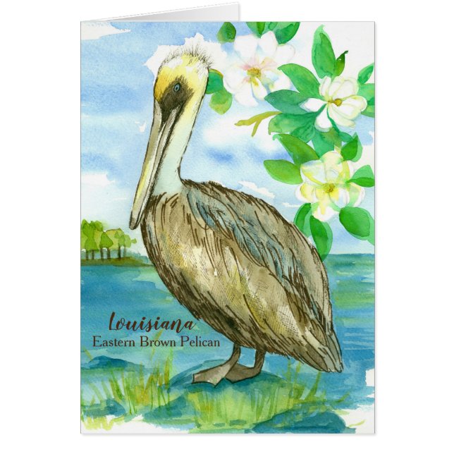Staat Bird of Louisiana Pelican Blank (Vorne)
