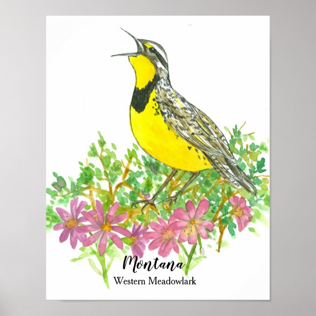 Staat Bird of Montana Meadowlark Bitterroot Blume Poster (Vorne)