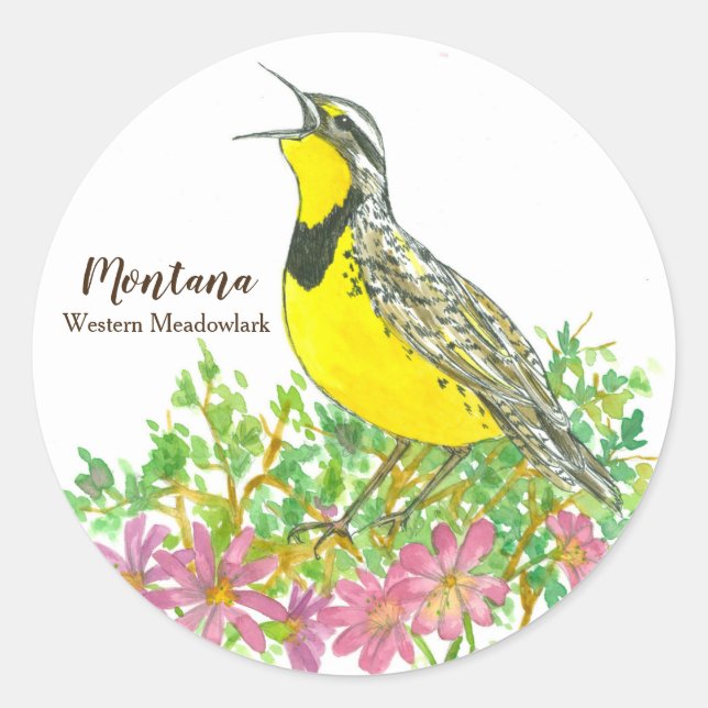 Staat Bird of Montana Western Meadowlark Songbird Runder Aufkleber (Vorderseite)