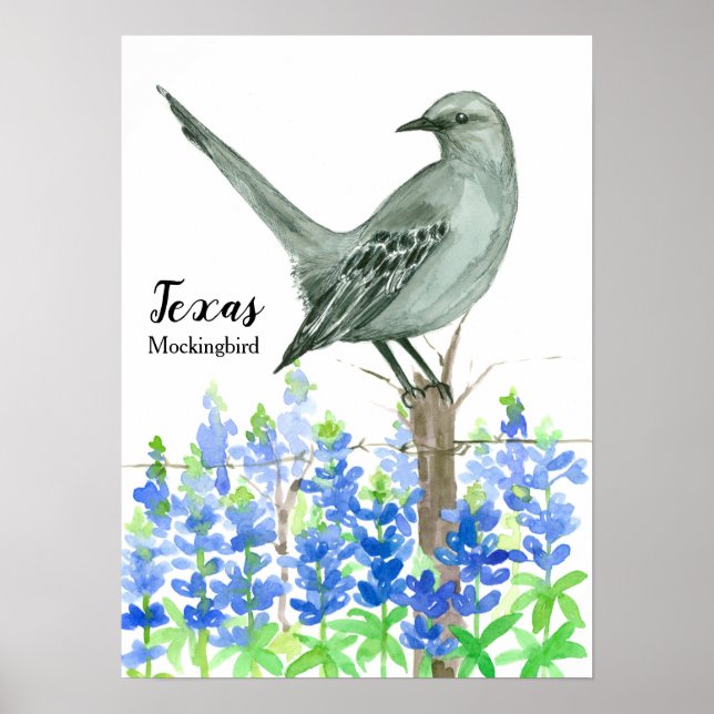 Staat Bird of Texas Mockingbird Poster (Vorne)
