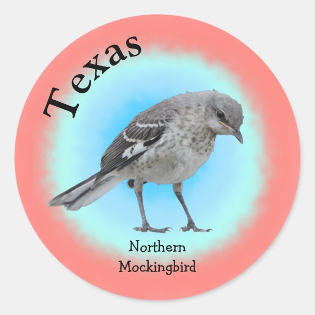 Staat Bird of Texas Runder Aufkleber (Vorderseite)