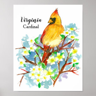 Staat Bird of Virginia Kardinal Wasserfarbe Poster