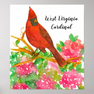 Staat Bird of West Virginia Kardinal Rhododendron Poster