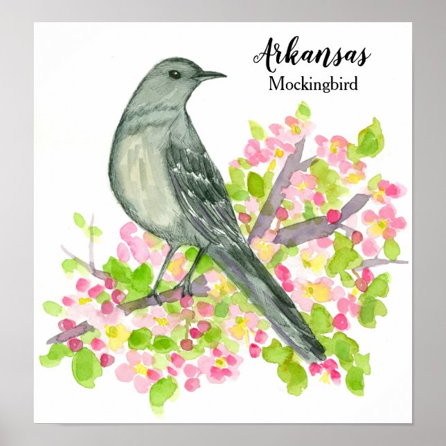 Staat Bird von Arkansas Mockingbird Blume Poster (Vorne)