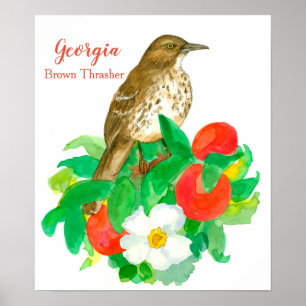Staat Bird von Georgia Brown Thrasher Poster