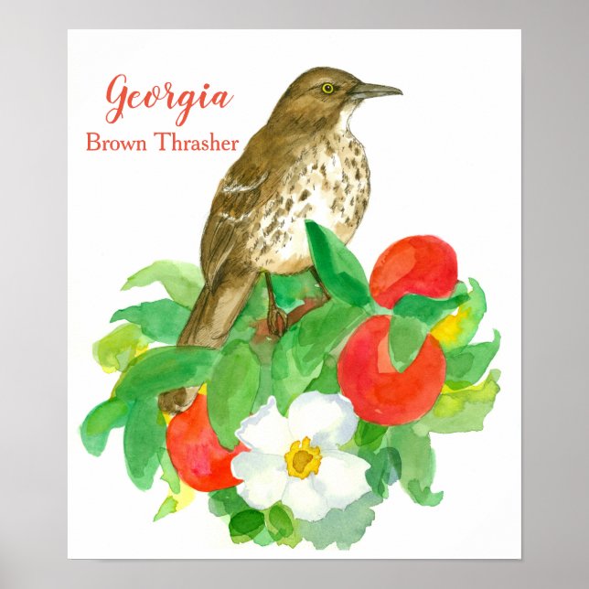 Staat Bird von Georgia Brown Thrasher Poster (Vorne)