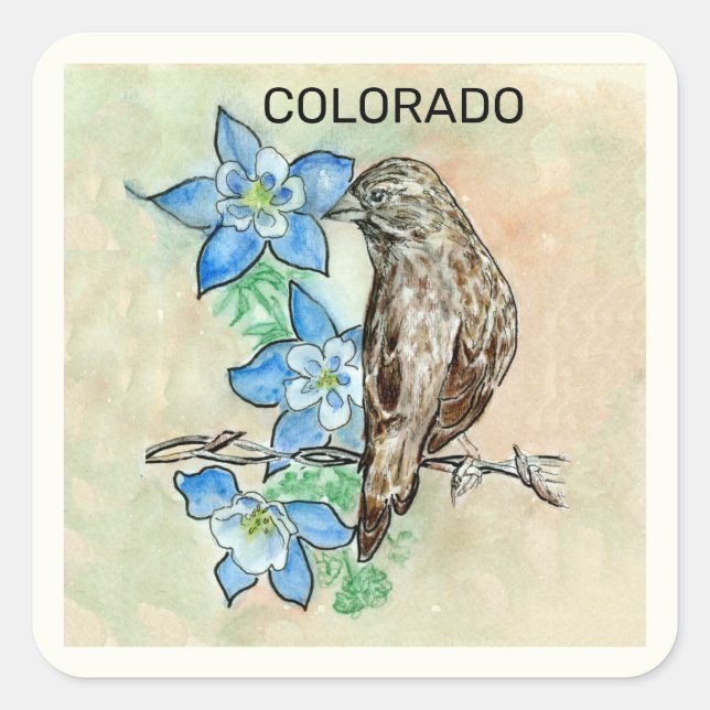Staat Colorado - Vogel und Blume Quadratischer Aufkleber (Vorderseite)