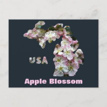 Staat der Blüten von Michigan und Apple