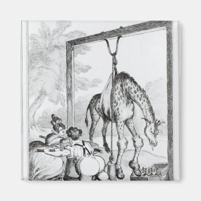 Staat der Giraffe, 1829 Magnet (Vorne)